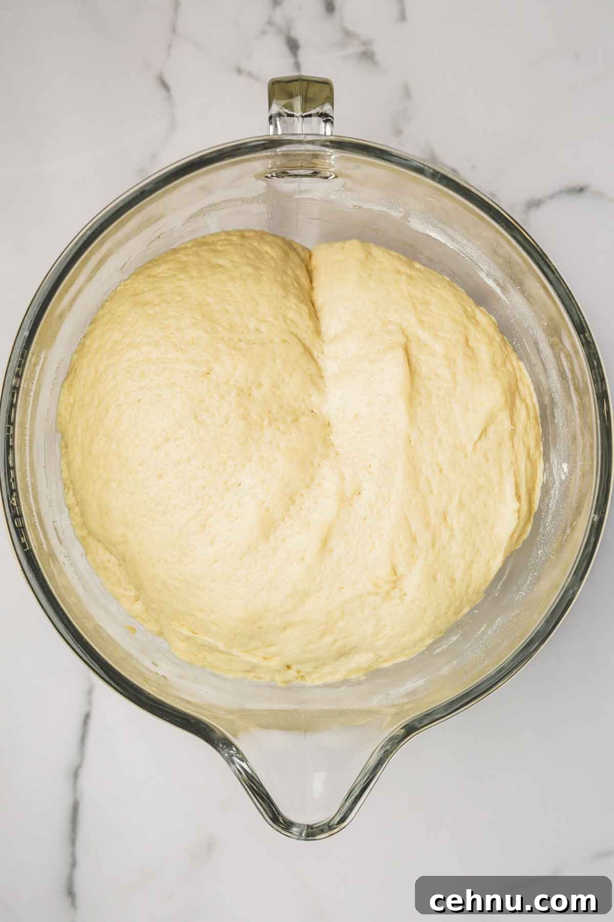 mixing bowl with risen brioche dough