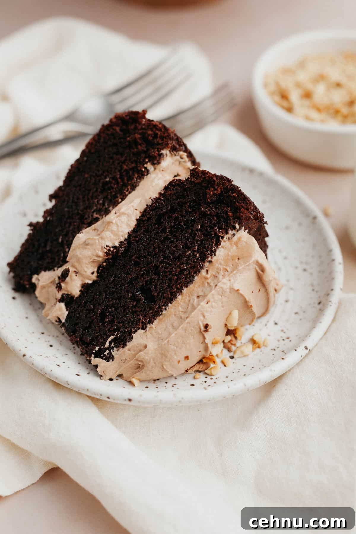 Moist Nutella Filled Chocolate Cake Recipe 2 A slice of chocolate cake with Nutella frosting on a small plate.