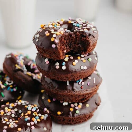 a stack of chocolate sprinkle donuts, the donut on top has a bite taken out of it.