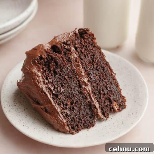 A slice of chocolate cake on a plate.