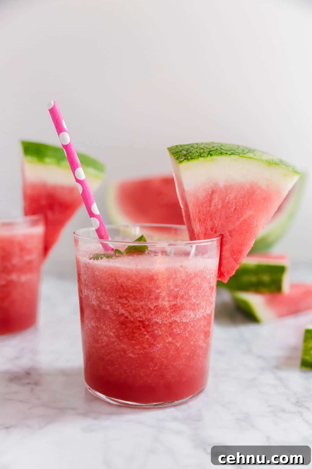 Frozen Watermelon Rose Wine Slushies 2 A short glass with watermelon rosé slushie with a watermelon wedge and pink polka dot straw.