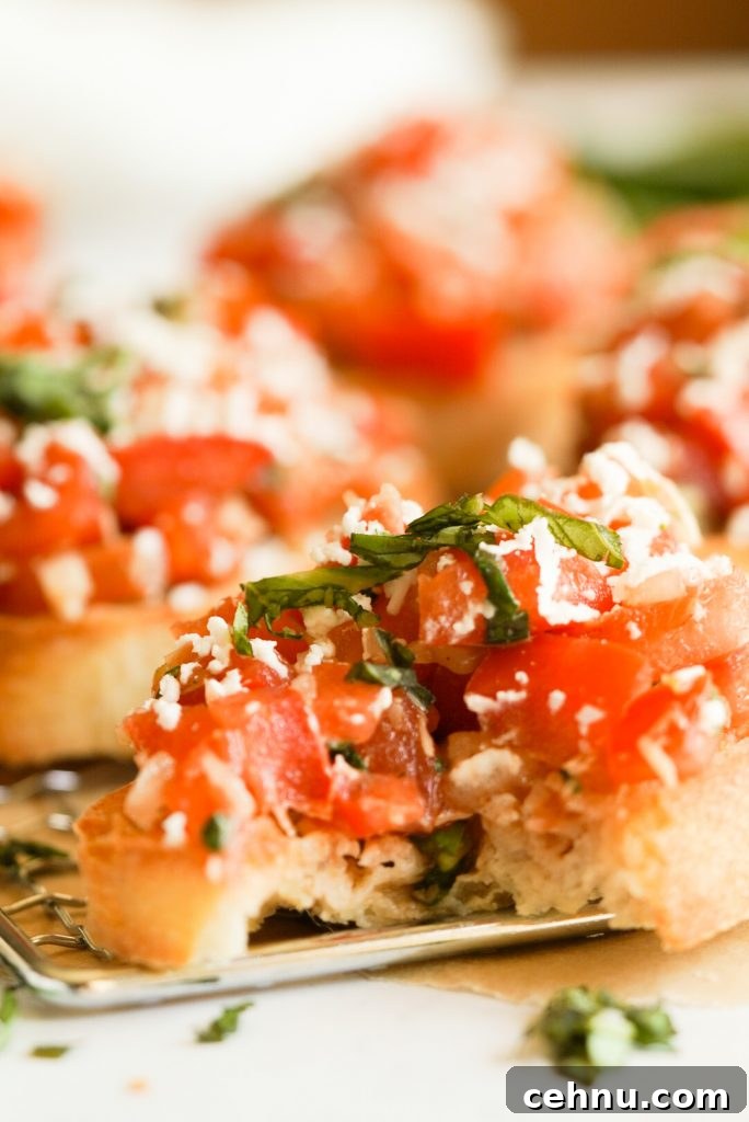 tomato mixture, goat cheese, and basil on a slice of toasted ciabatta bread