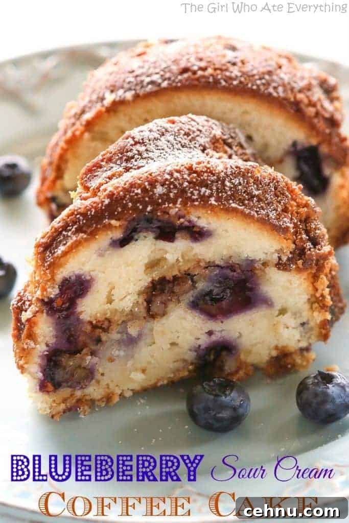 Moist Blueberry Sour Cream Coffee Cake Recipe 2 Blueberry Sour Cream Coffee Cake