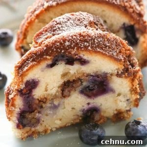 Moist Blueberry Sour Cream Coffee Cake Recipe 4 img 7831 3