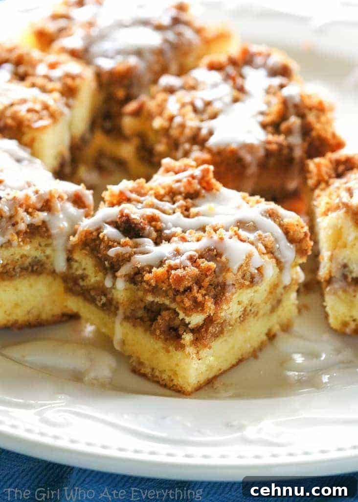 Moist Blueberry Sour Cream Coffee Cake Recipe 5 Graham Streusel Coffee Cake