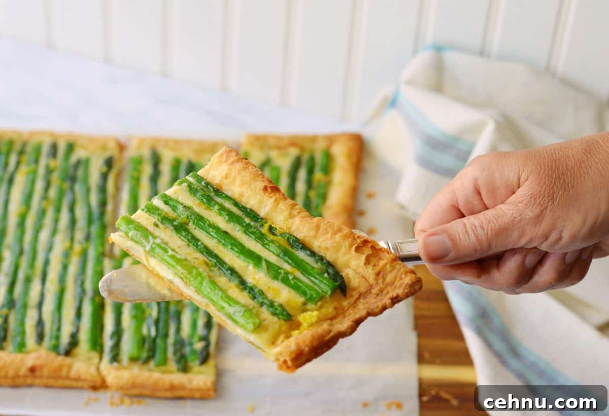 Savory Asparagus and Cheese Tart Recipe 10 serving delicious cheese asparagus tart.