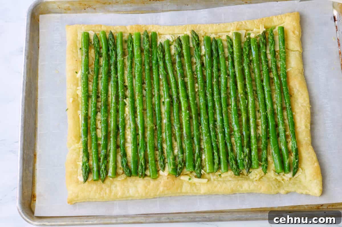Savory Asparagus and Cheese Tart Recipe 8 uncooked asparagus tart.