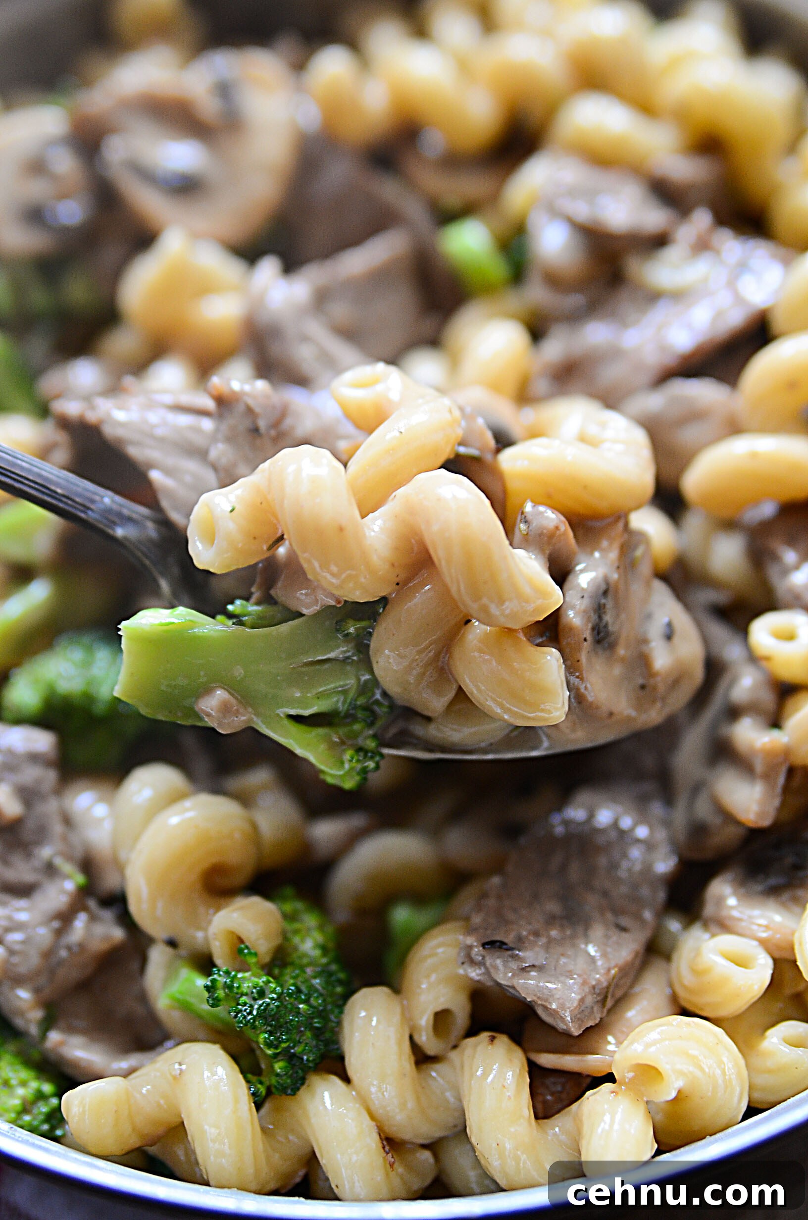 Beef mushroom and broccoli pasta in creamy brown gravy sauce
