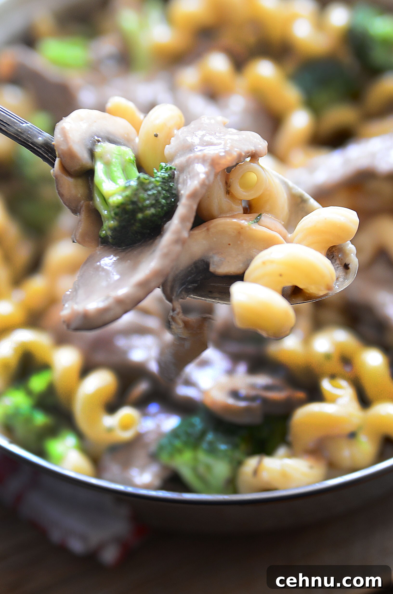 Beef pasta with broccoli and mushrooms