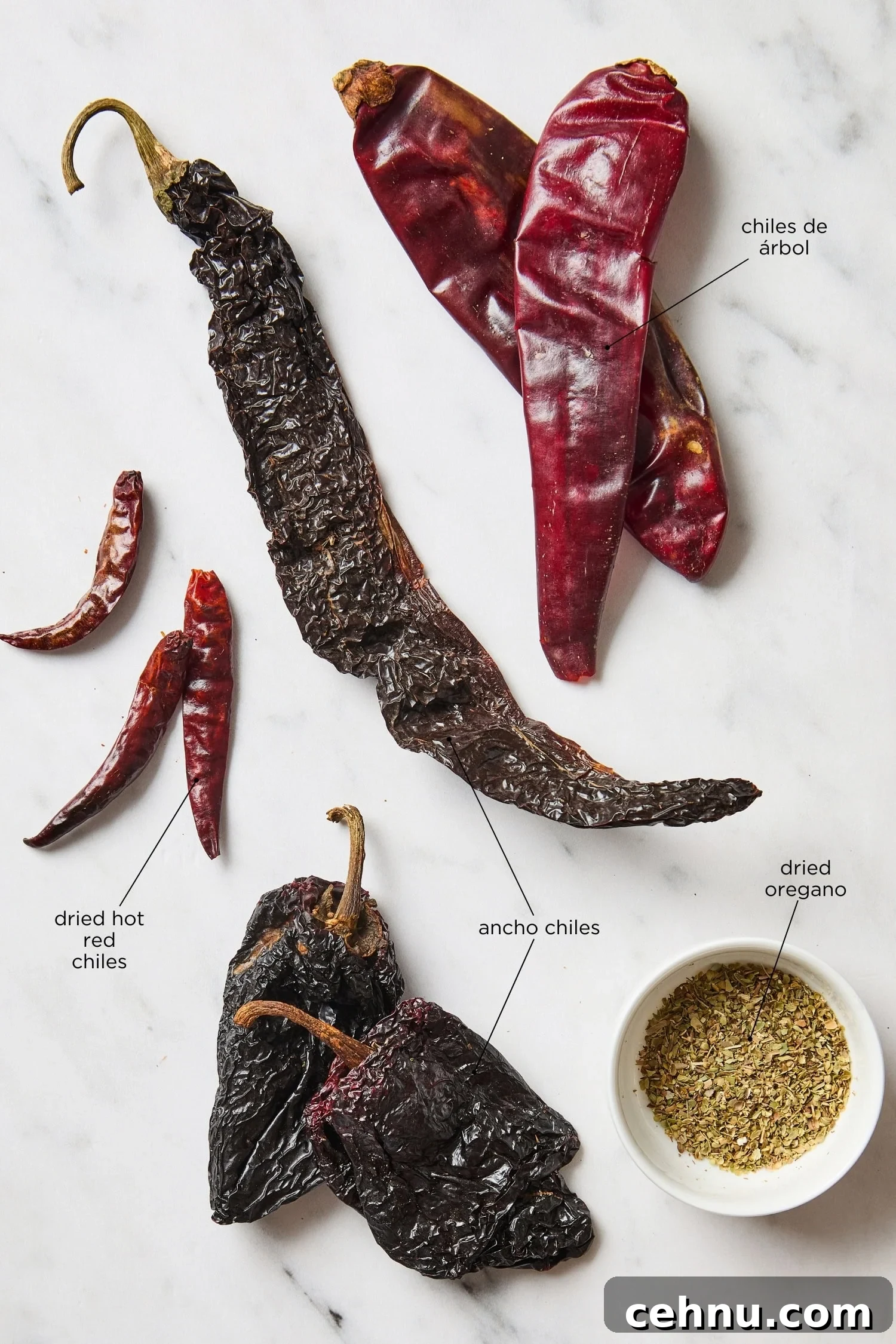 White marble surface with a few different dried chiles and dried oregano for chili powder.