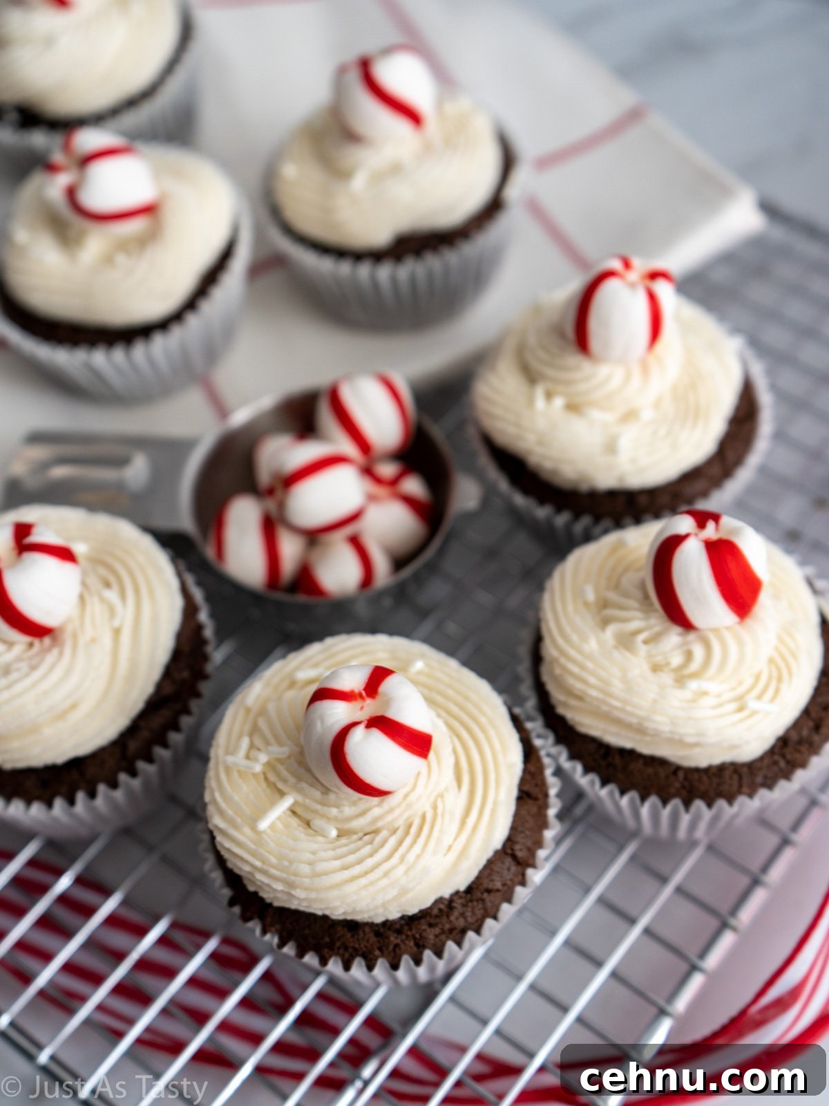 Decadent Chocolate Peppermint Cupcakes with Candy Cane Frosting 2 Frosted chocolate peppermint cupcakes on a cooling rack.