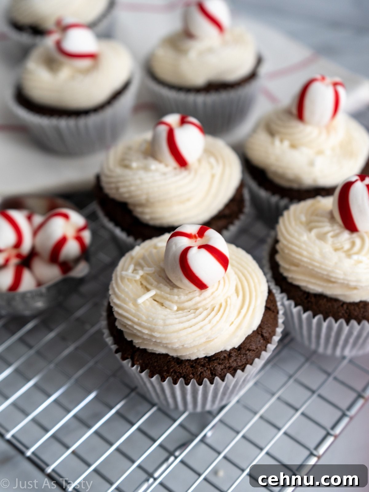 Decadent Chocolate Peppermint Cupcakes with Candy Cane Frosting 4 Close-up of a frosted chocolate peppermint cupcake topped with a red and white striped mint.