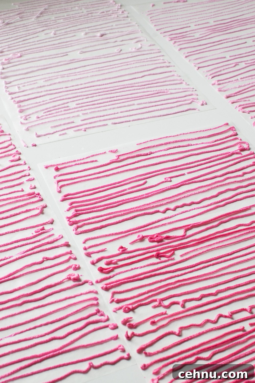 How to Make Sugar-Free Sprinkles for Low-Carb Baking 6 Lines of sugar-free royal icing drying on parchment sheets