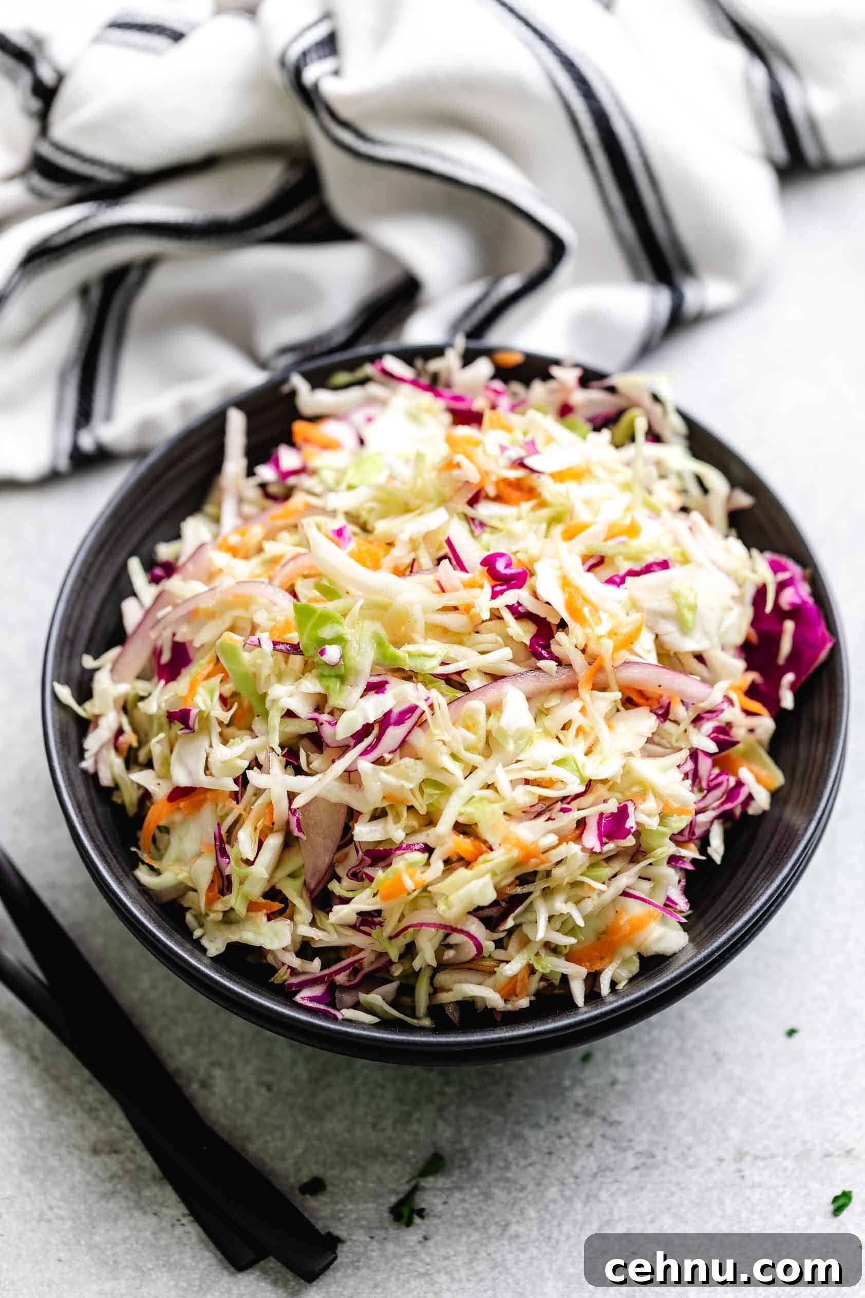 Colorful coleslaw in a bowl.