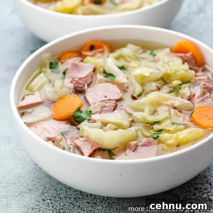 The ham and cabbage soup served in a bowl.