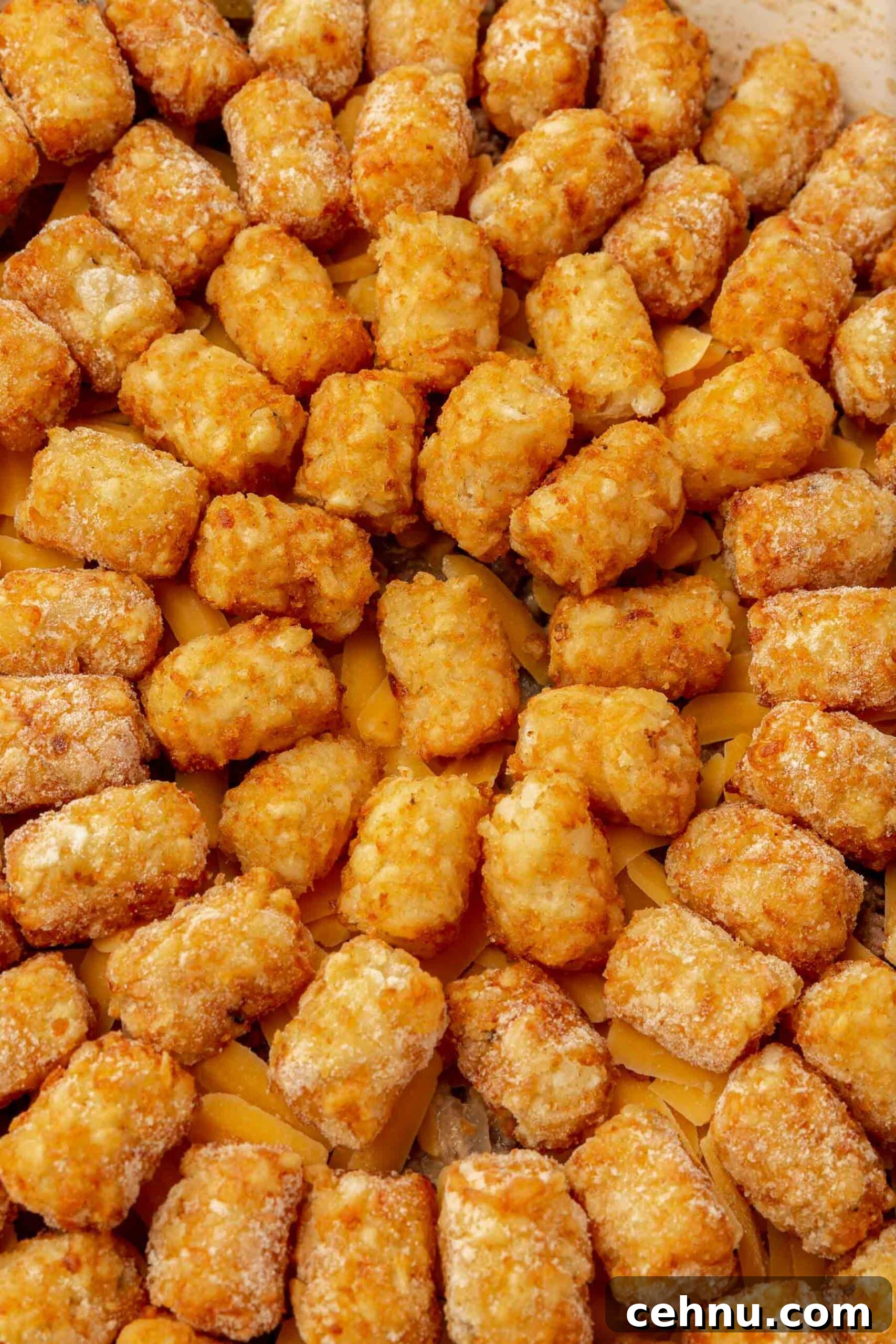 A close up of frozen tater tots arranged in a circle over a casserole.