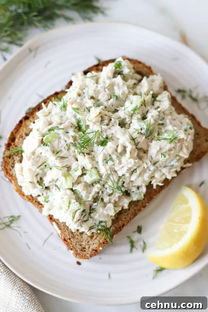 Cottage cheese chicken salad on toast garnished with dill.