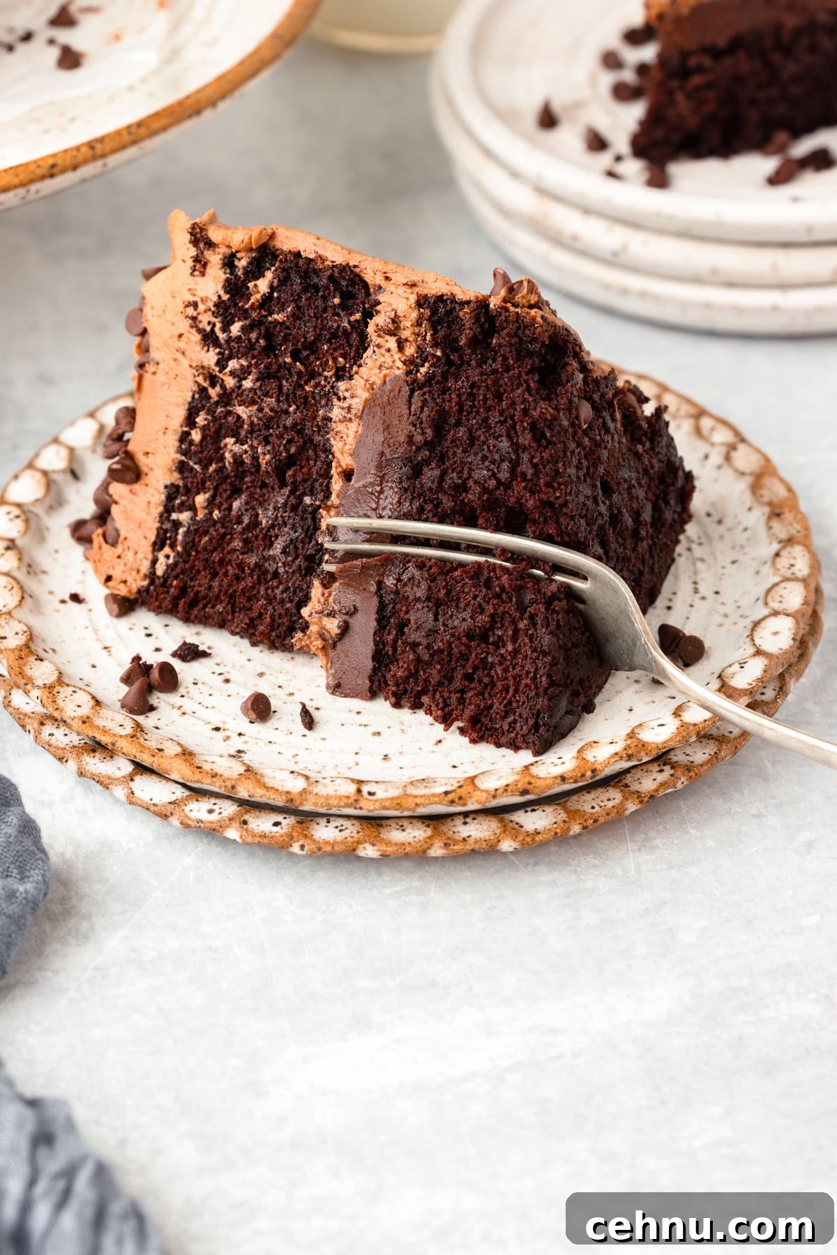 Decadent Triple Chocolate Cake Recipe 10 A slice of chocolate cake with chocolate frosting and sprinkle decorations on a ceramic plate. A fork rests on the plate. The background shows partial views of more cake slices on similar plates.