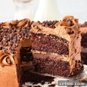 A rich triple chocolate cake with two layers, topped with chocolate buttercreamfrosting and sprinkled with chocolate chips. A slice is being lifted from the cake, revealing its moist texture. Bottles of milk are blurred in the background.