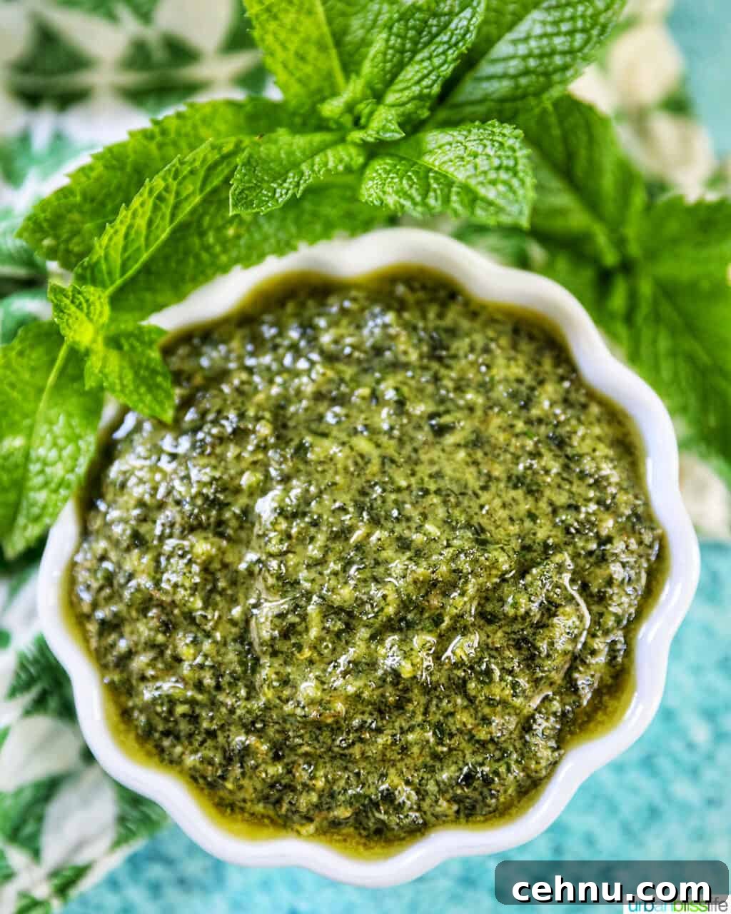 white scalloped bowl filled with mint pesto with mint leaves around the top of the bowl on a bright blue background.