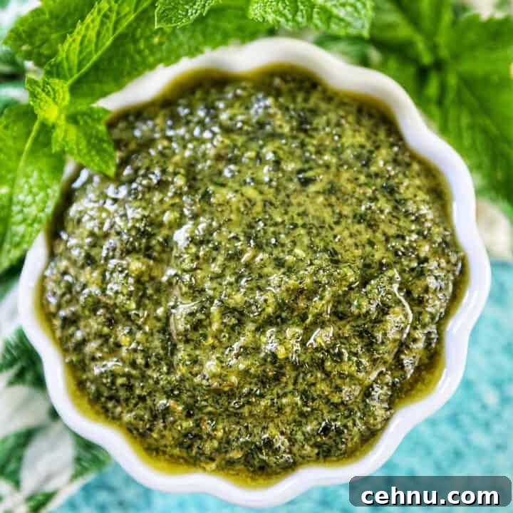white scalloped bowl filled with mint pesto with mint leaves around the top of the bowl on a bright blue background.