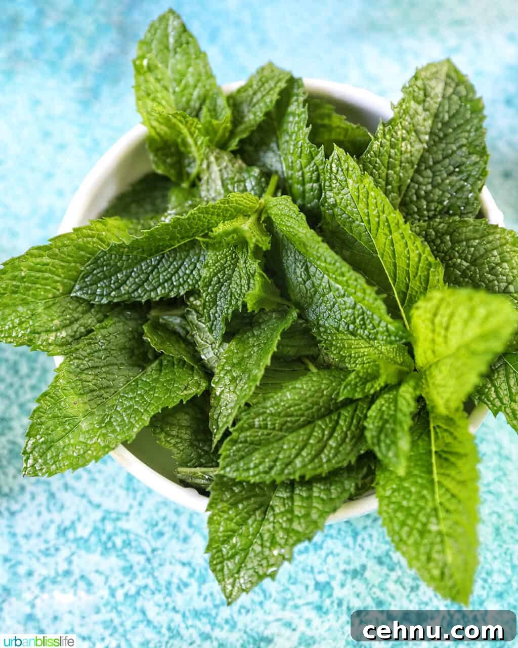 bunch of mint leaves in a white bowl on a bright blue background.