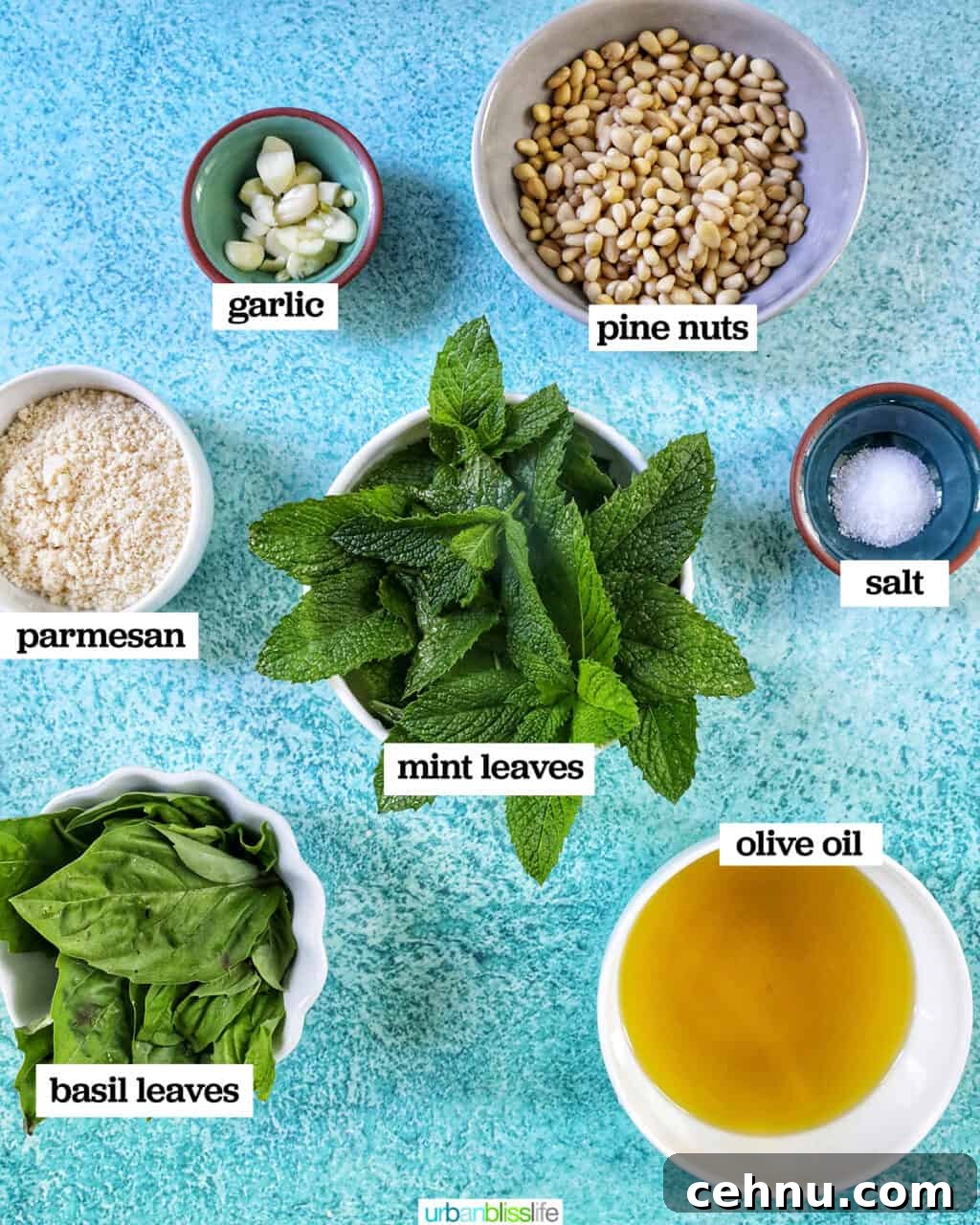 bowls filled with ingredients to make mint pesto: mint, basil, olive oil, parmesan, pine nuts, garlic.