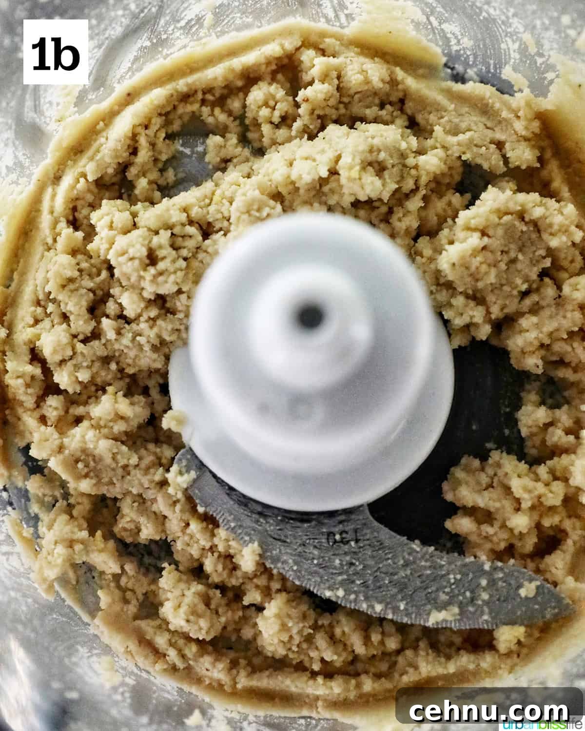 blended pine nuts in a food processor.
