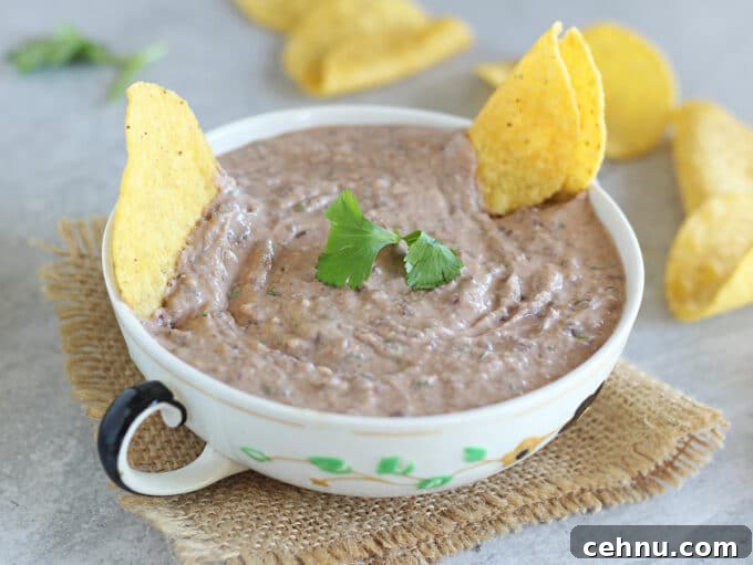 Bowl of hummus with tortilla chips.