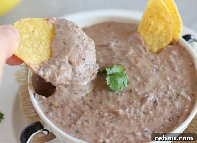 Tortilla chip dipping in hummus.