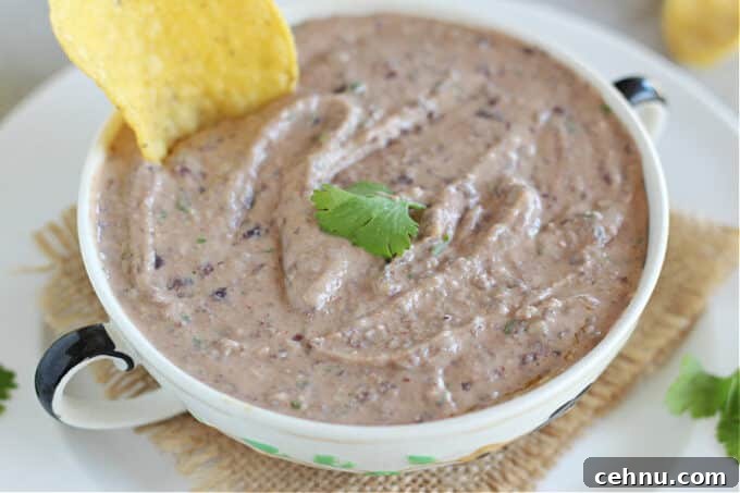 Close-up of hummus with a sprig of cilantro on top.