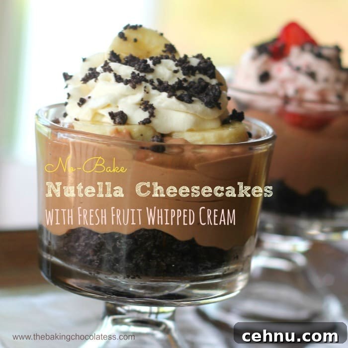 No-Bake Nutella Cheesecakes with Fresh Fruit Whipped Cream