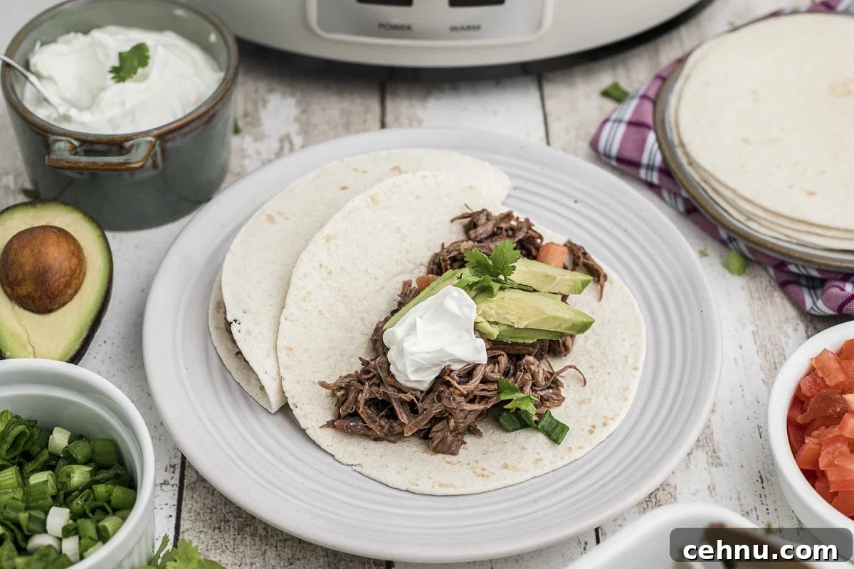 2 tacos on a plate