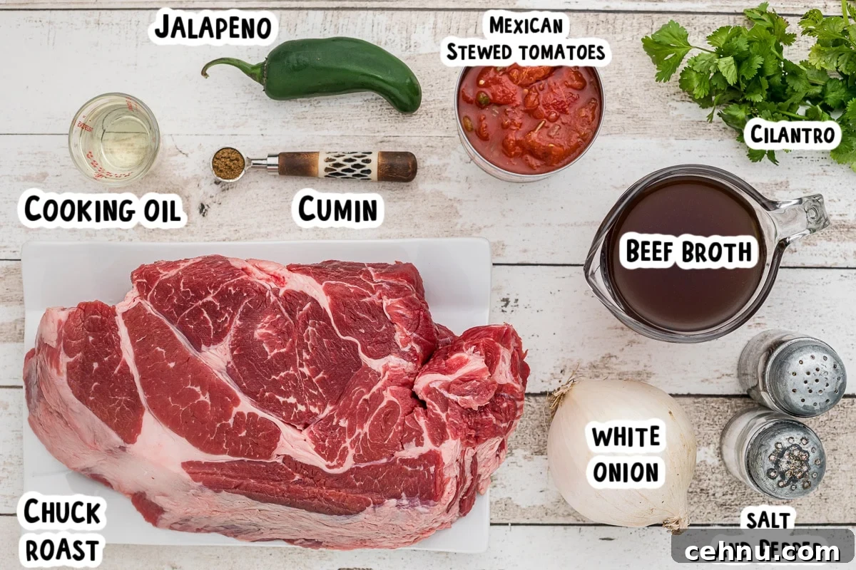 ingredients for mexican shredded beef on a table