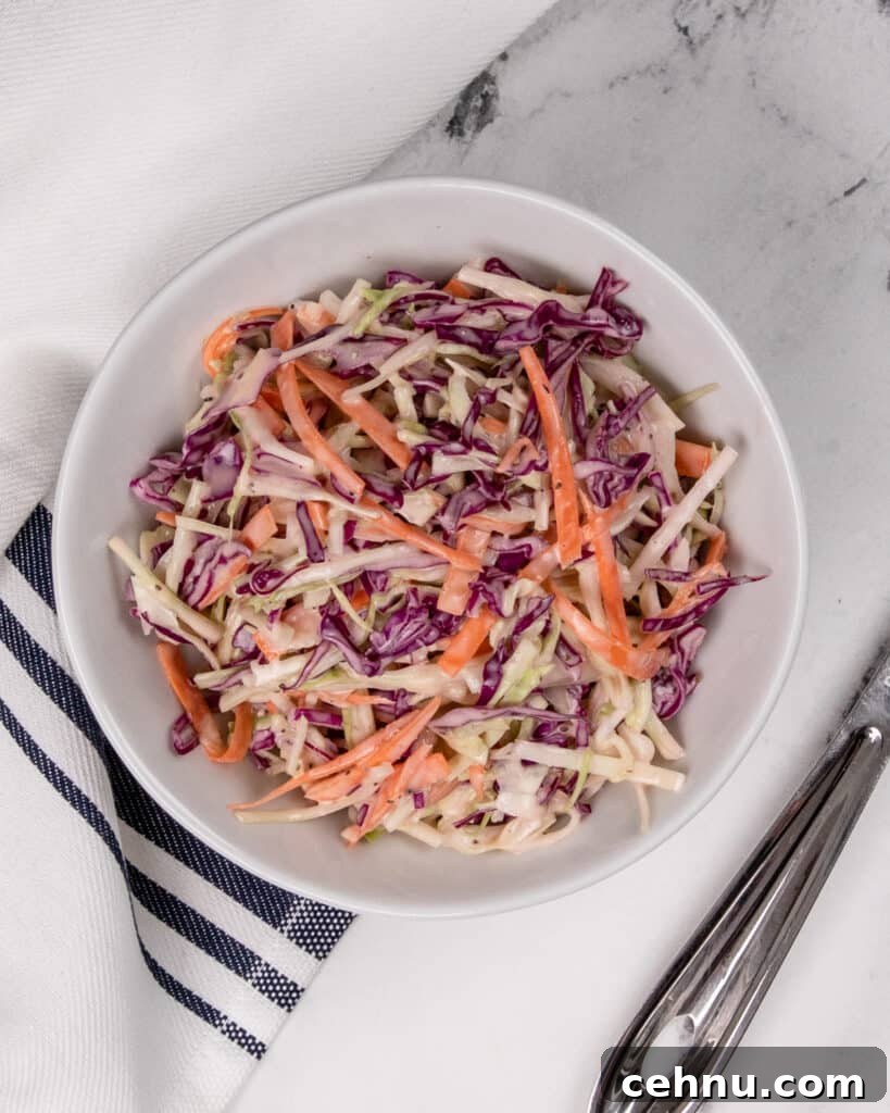 Crisp, Creamy Homemade Coleslaw Recipe 2 Homemade coleslaw