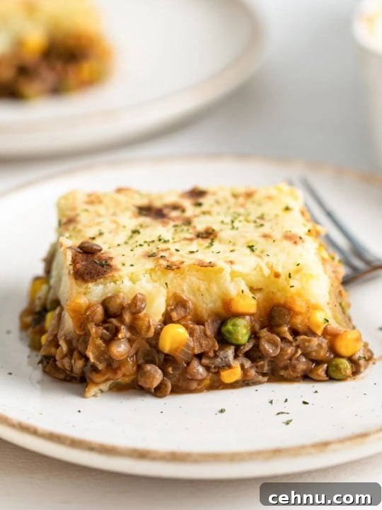 Vegan Shepherd's Pie