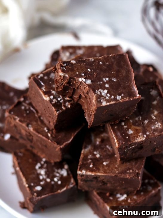 Best Chocolate Fudge