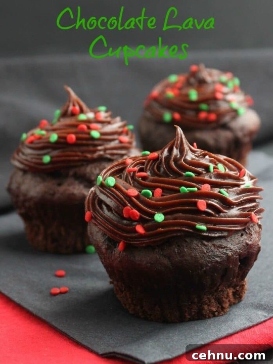 Chocolate Lava Cupcakes