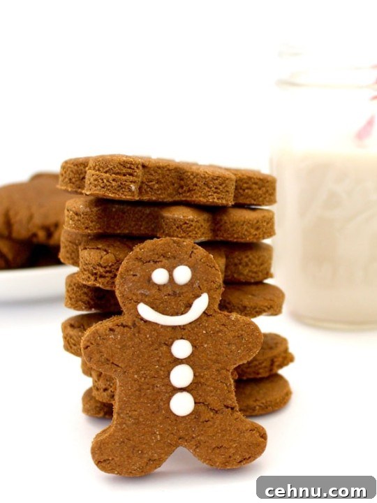 Vegan Gingerbread Cookies
