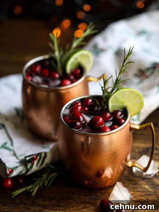 Cranberry Moscow Mule