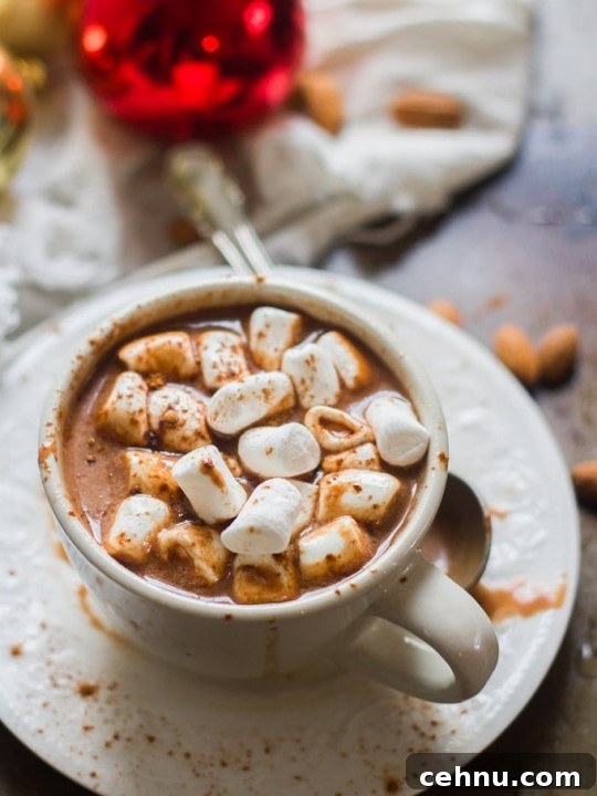 Rich & Creamy Vegan Hot Chocolate