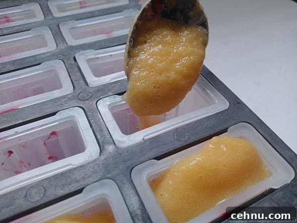 Homemade Peach and Raspberry Popsicles Recipe 11 Peach added to popsicle mold