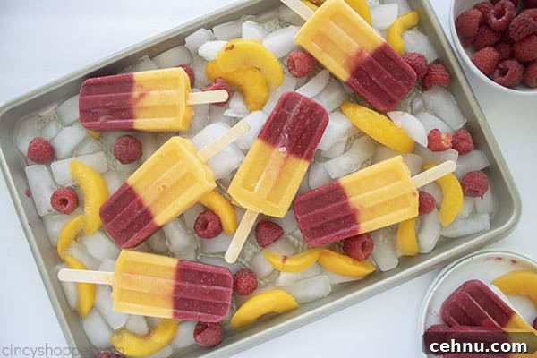 Homemade Peach and Raspberry Popsicles Recipe 12 Tray of fresh berry pops