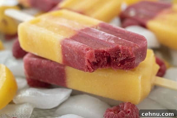 Homemade Peach and Raspberry Popsicles Recipe 14 Bite from homemade popsicle