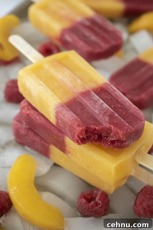 Homemade Peach and Raspberry Popsicles Recipe 3 Bite in fruit bar popsicle