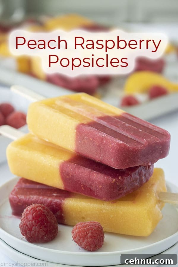 Homemade Peach and Raspberry Popsicles Recipe 5 Text on image Peach Raspberry Popsicles