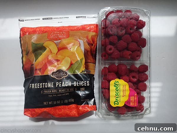 Homemade Peach and Raspberry Popsicles Recipe 7 Ingredients for Popsicles from scratch