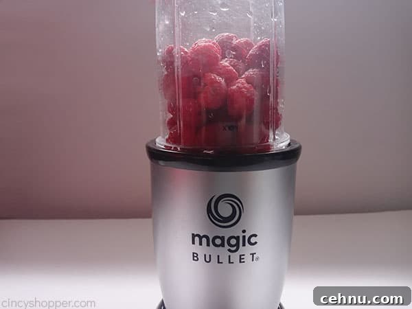 Homemade Peach and Raspberry Popsicles Recipe 8 Raspberries in blender