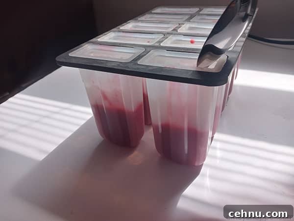 Homemade Peach and Raspberry Popsicles Recipe 10 Raspberry mixture added to popsicle mold