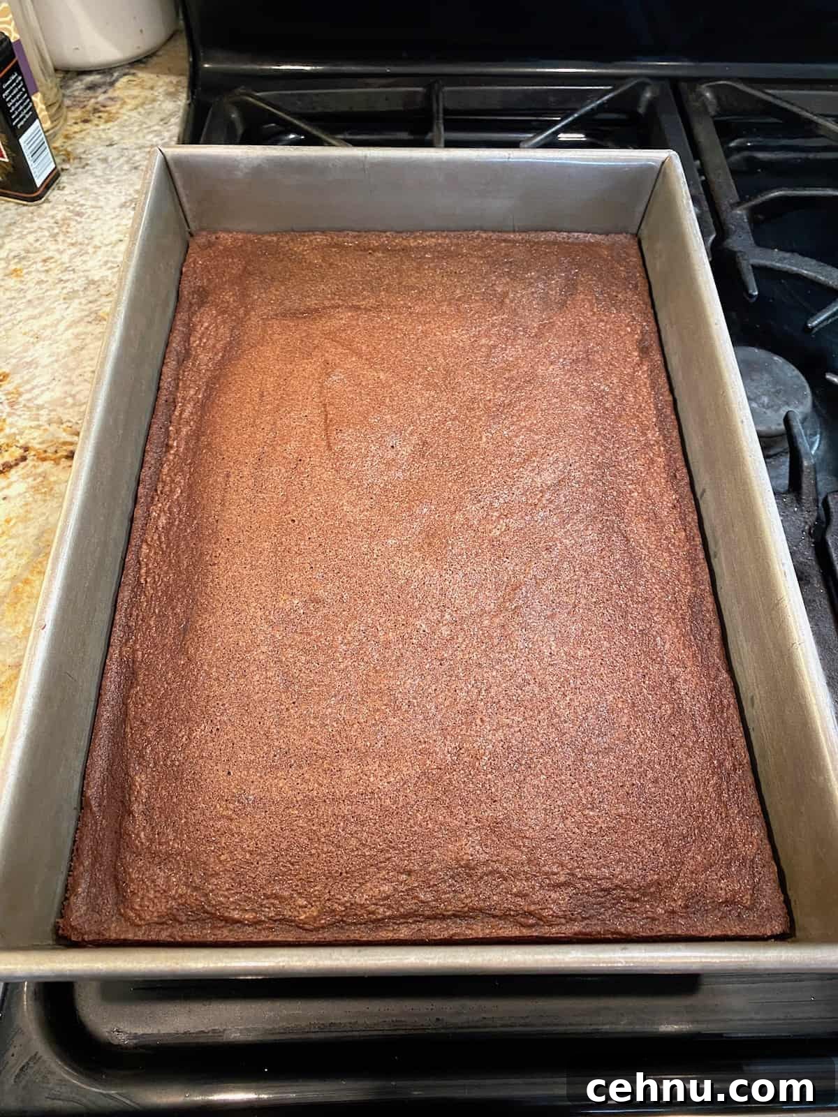 Homemade Brownie Mix Recipe for Fudgy Chocolate Brownies 9 A full pan of baked brownies.